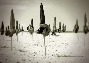 pho les parasols san logo