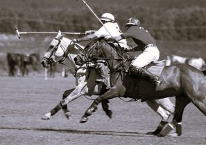 Biscuits “Les Parasols de Deauville” – création artisanale d'Éric Dufay
